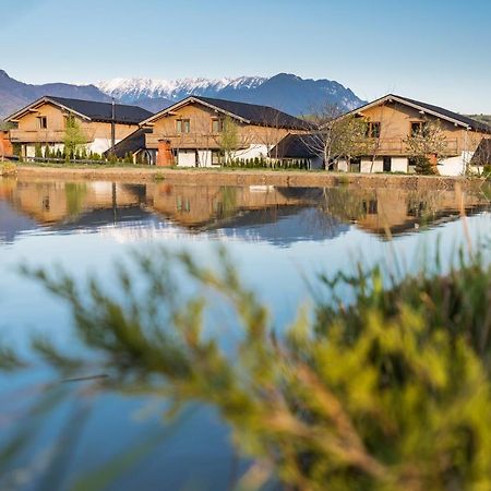 Green Resort Bran Μπραν Εξωτερικό φωτογραφία