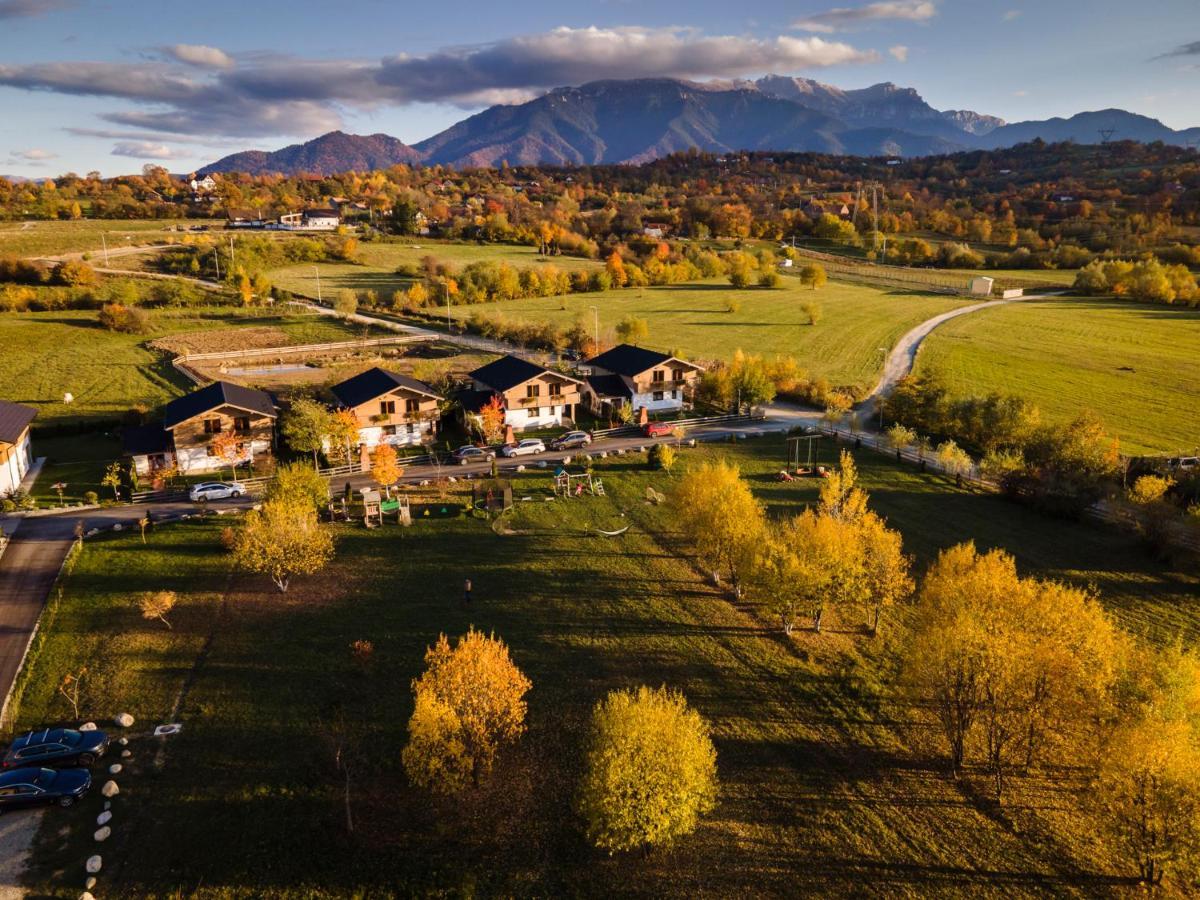 Green Resort Bran Μπραν Εξωτερικό φωτογραφία