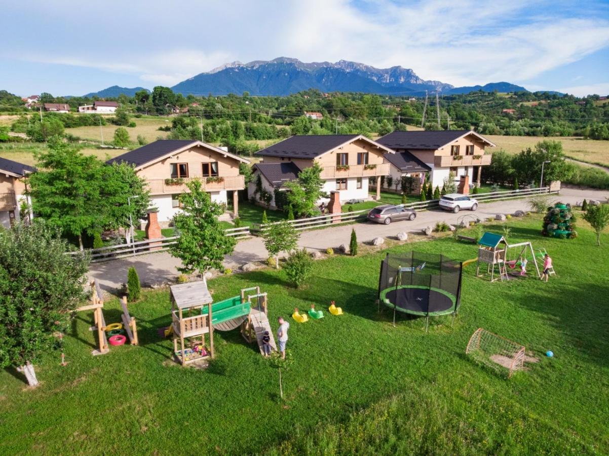 Green Resort Bran Μπραν Εξωτερικό φωτογραφία