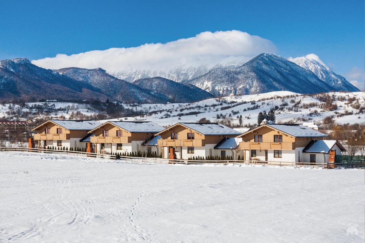 Green Resort Bran Μπραν Εξωτερικό φωτογραφία