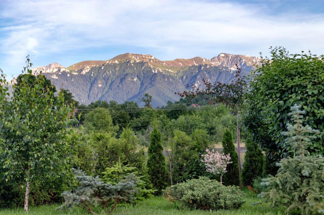Green Resort Bran Μπραν Εξωτερικό φωτογραφία