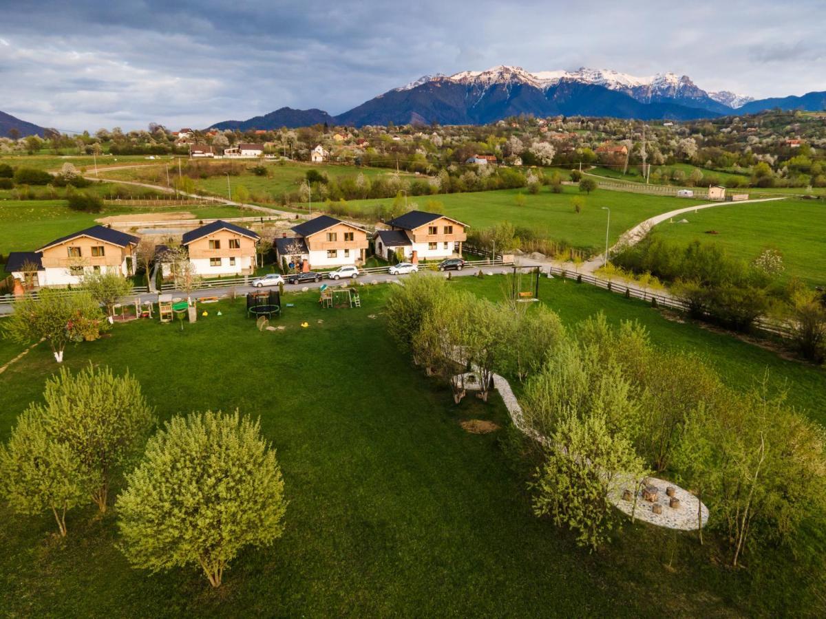 Green Resort Bran Μπραν Εξωτερικό φωτογραφία