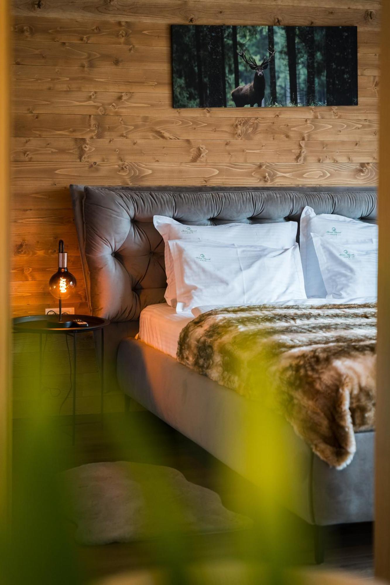 Green Resort Bran Μπραν Εξωτερικό φωτογραφία
