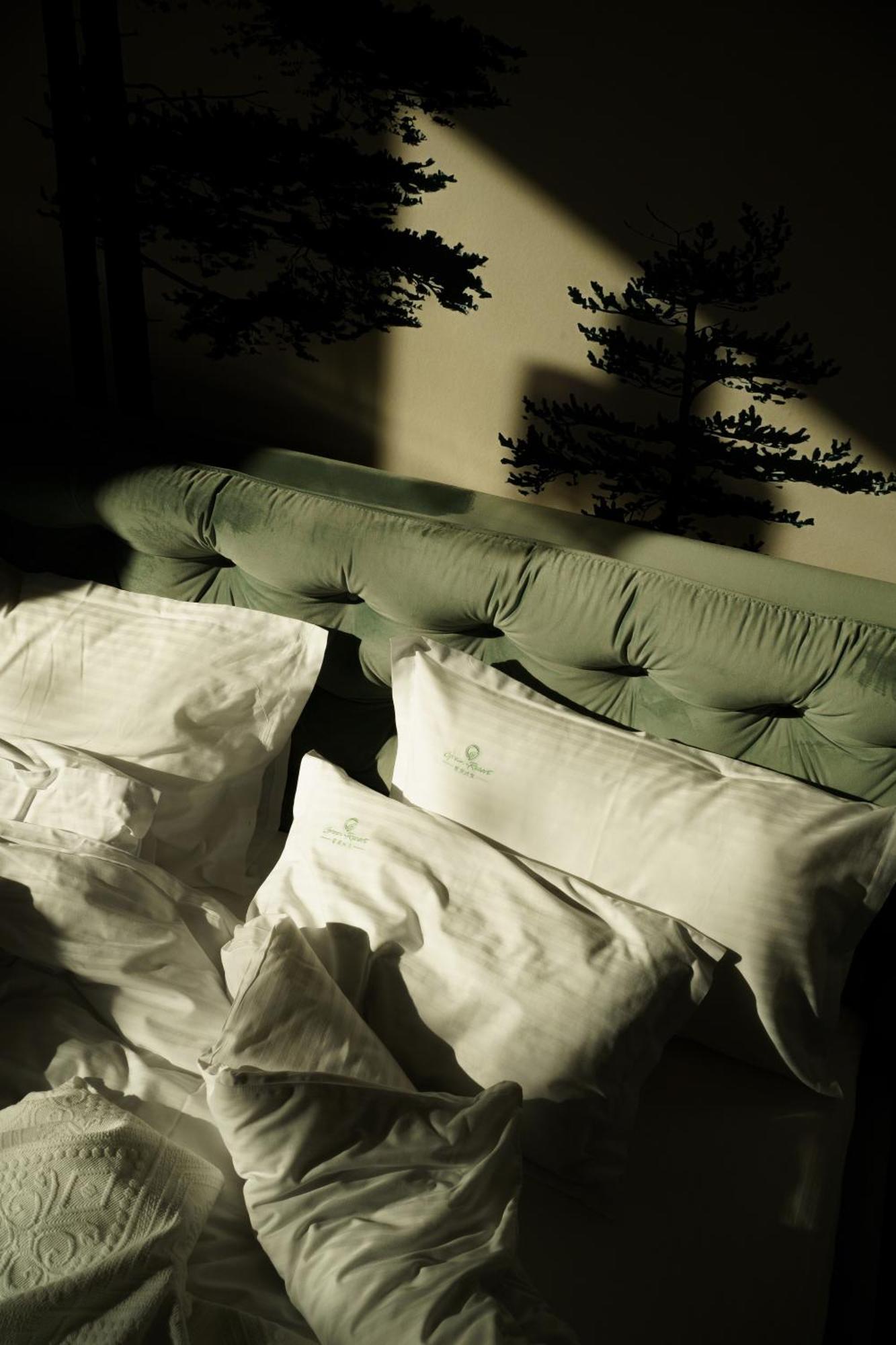 Green Resort Bran Μπραν Εξωτερικό φωτογραφία