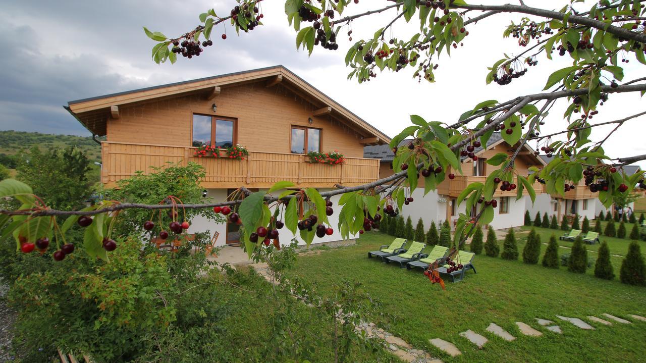 Green Resort Bran Μπραν Εξωτερικό φωτογραφία